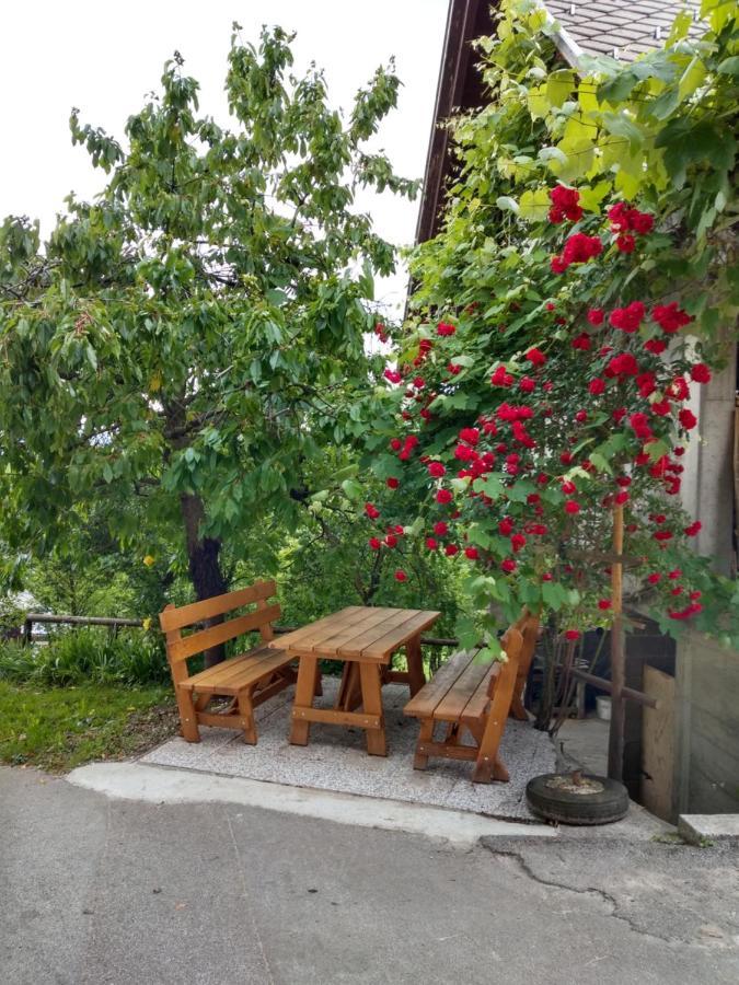 Ferienwohnung Pr' Hribar Zgornje Gorje Exterior foto