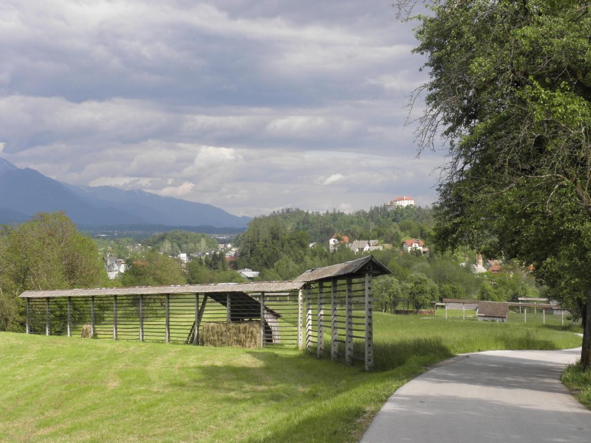 Ferienwohnung Pr' Hribar Zgornje Gorje Exterior foto