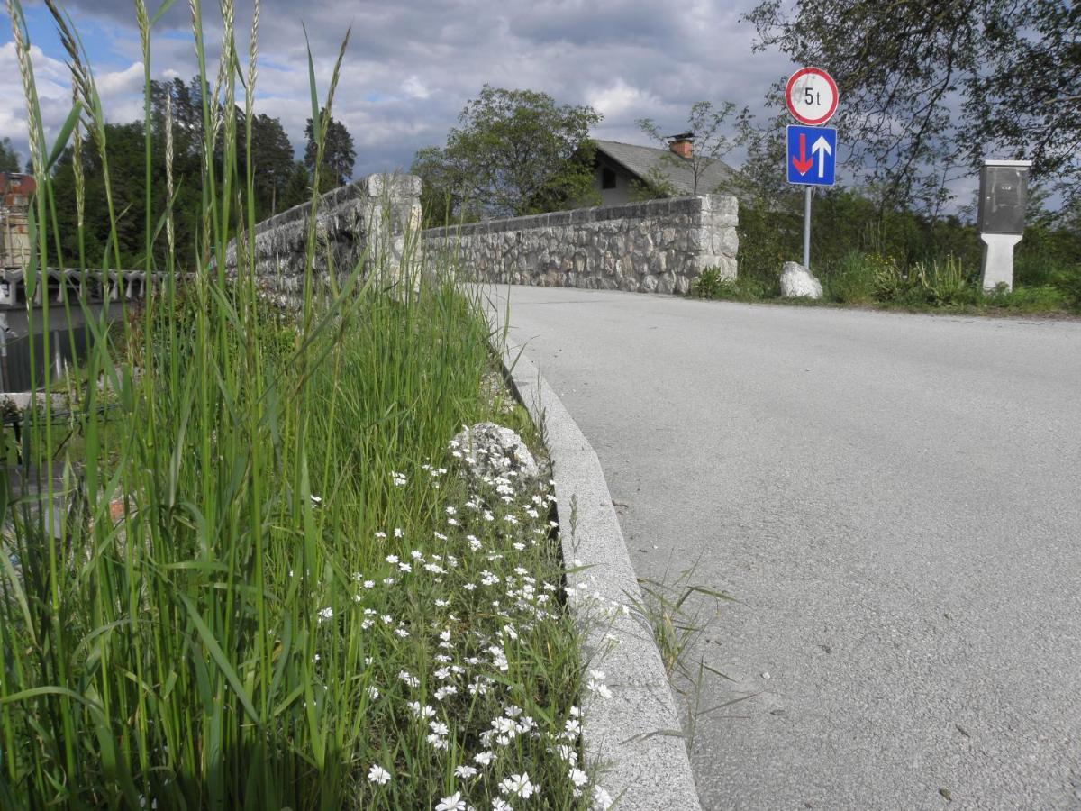 Ferienwohnung Pr' Hribar Zgornje Gorje Exterior foto